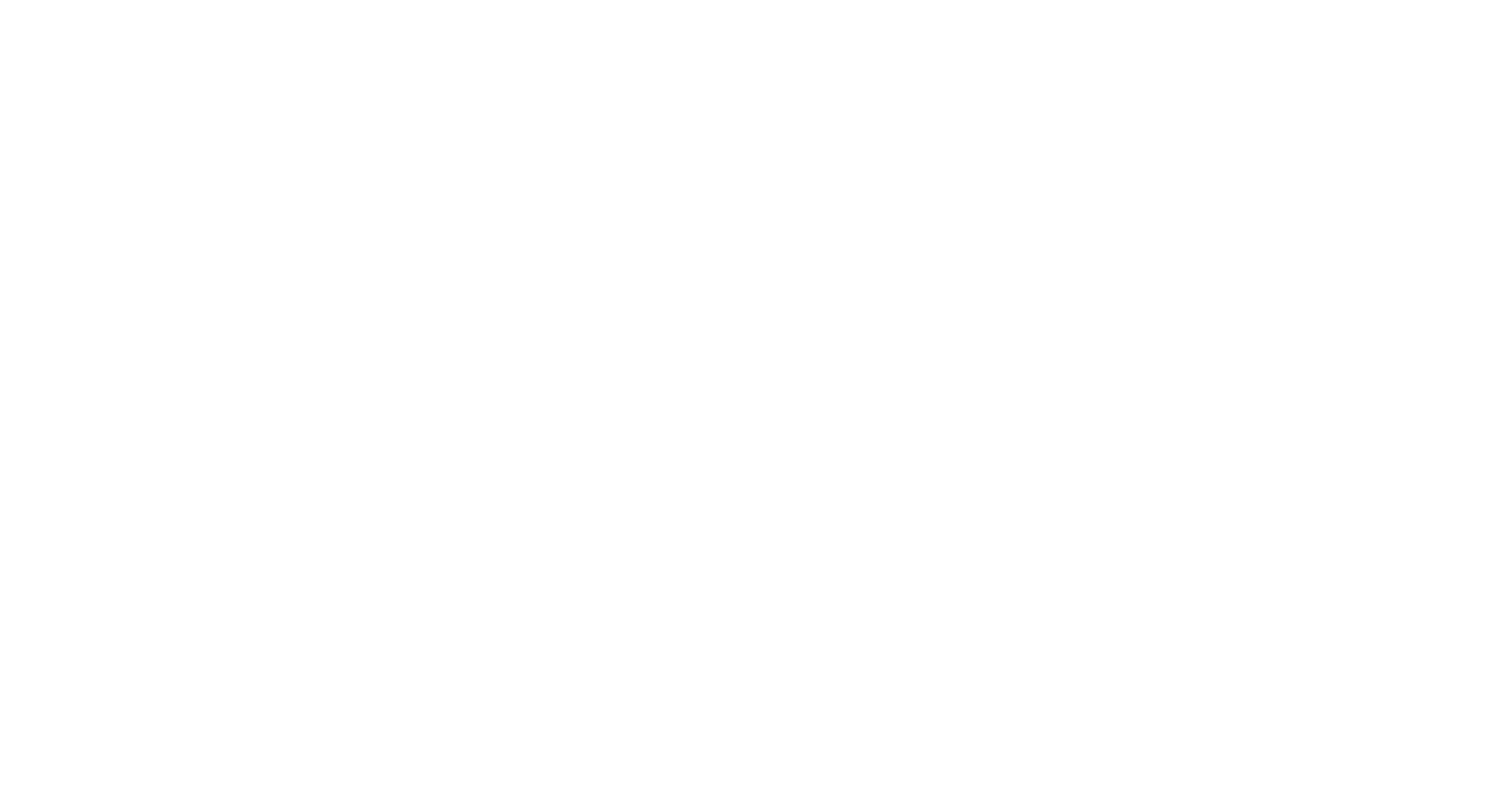 dlm connections logo in white